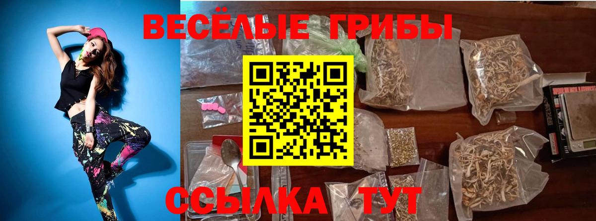 Галлюциногенные грибы Psilocybine cubensis Усть-Илимск